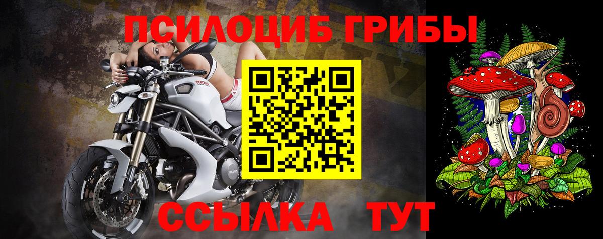 Псилоцибиновые грибы Psilocybe  Вход с VPN  дарнет шоп  Галлюциногенные грибы мухоморы  Гатчина 